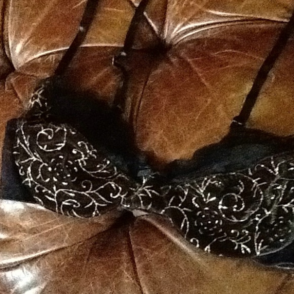 NWOT SZ32 B FRederick's of Hollywood Velvety/ lace